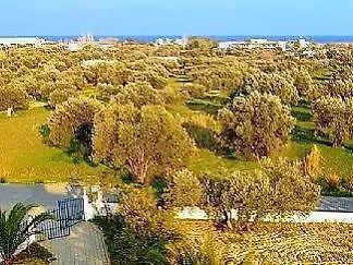 דירה Olive Grove אפאנטו